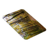 Herfst Trail en Golden Leaves in Laurel Hill Park Magneet (Rechterzijde)