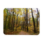 Herfst Trail en Golden Leaves in Laurel Hill Park Magneet (Horizontaal)