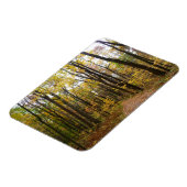 Herfst Trail en Golden Leaves in Laurel Hill Park Magneet (Linkerzijde)