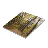 Herfst Trail en Golden Leaves in Laurel Hill Park Tegeltje (Zijkant)