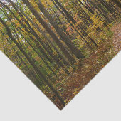 Herfst Trail en Golden Leaves in Laurel Hill Park Tissuepapier (Detail)