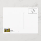 Herfst Tranquiliteit denken van u Briefkaart (Achterkant)