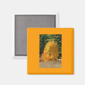 Herfst Tree Magnet (Voorkant / Achterkant)
