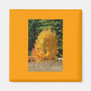 Herfst Tree Magnet