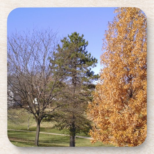 Herfst Trees Bier Onderzetter (Voorkant)
