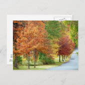 Herfst Trees Briefkaart (Voorkant / Achterkant)