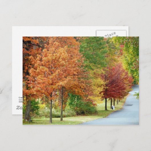 Herfst Trees Briefkaart (Voorkant / Achterkant)