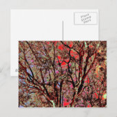 HERFST TREES BRIEFKAART (Voorkant / Achterkant)