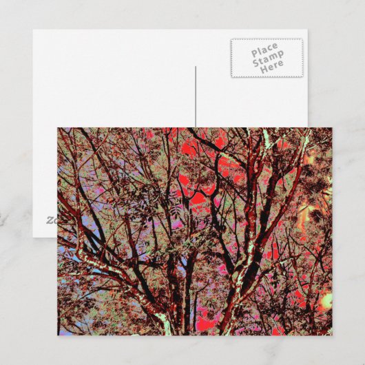 HERFST TREES BRIEFKAART (Voorkant / Achterkant)