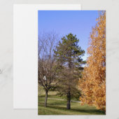 Herfst Trees Briefpapier (Voorkant / Achterkant)