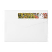 Herfst Trees en Blue Sky Autumn Natuur Fotografie (Achterkant)