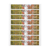 Herfst Trees en Blue Sky Autumn Natuur Fotografie (Vel)