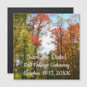 Herfst Trees en Blue Sky Autumn Natuur Fotografie (Voorkant / Achterkant)