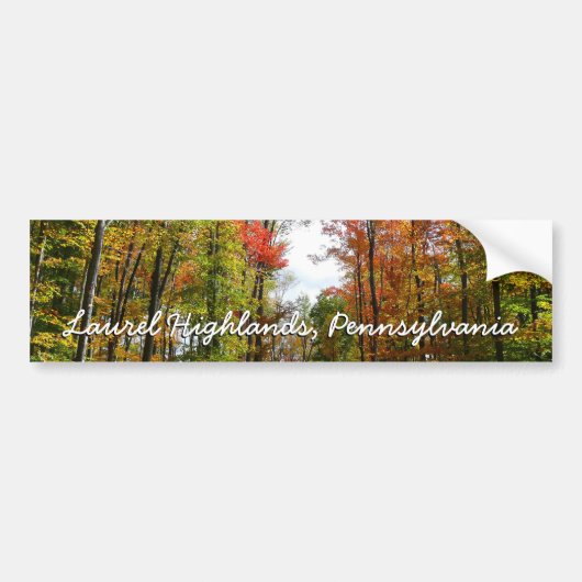 Herfst Trees en Blue Sky Autumn Natuur Fotografie Bumpersticker (Voorkant)