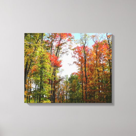 Herfst Trees en Blue Sky Autumn Natuur Fotografie Canvas Afdruk (Voorkant)