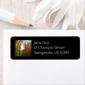 Herfst Trees en Blue Sky Autumn Natuur Fotografie Etiket (Insitu)