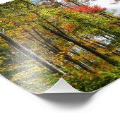 Herfst Trees en Blue Sky Autumn Natuur Fotografie Foto Afdruk (Hoek)