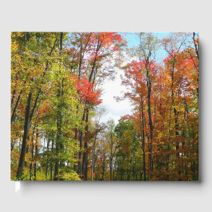 Herfst Trees en Blue Sky Autumn Natuur Fotografie Gastenboek