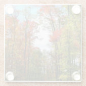 Herfst Trees en Blue Sky Autumn Natuur Fotografie Glazen Onderzetter (Achterkant)