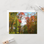 Herfst Trees en Blue Sky Autumn Natuur Fotografie Kaart (Voorkant / Achterkant in situ)