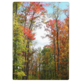 Herfst Trees en Blue Sky Autumn Natuur Fotografie Klembord (Achterkant)