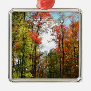 Herfst Trees en Blue Sky Autumn Natuur Fotografie Metalen Ornament