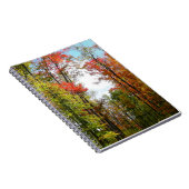 Herfst Trees en Blue Sky Autumn Natuur Fotografie Notitieboek (Rechterzijde)