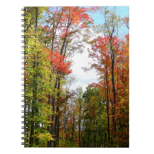 Herfst Trees en Blue Sky Autumn Natuur Fotografie Notitieboek (Voorkant)