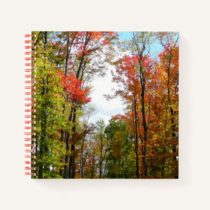 Herfst Trees en Blue Sky Autumn Natuur Fotografie Notitieboek