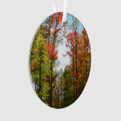 Herfst Trees en Blue Sky Autumn Natuur Fotografie Ornament (voorkant)