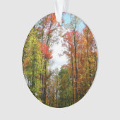Herfst Trees en Blue Sky Autumn Natuur Fotografie Ornament (voorkant)