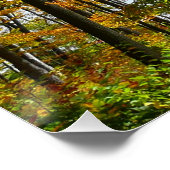 Herfst Trees en Blue Sky Autumn Natuur Fotografie Poster (Hoek)