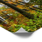 Herfst Trees en Blue Sky Autumn Natuur Fotografie Poster (Hoek)