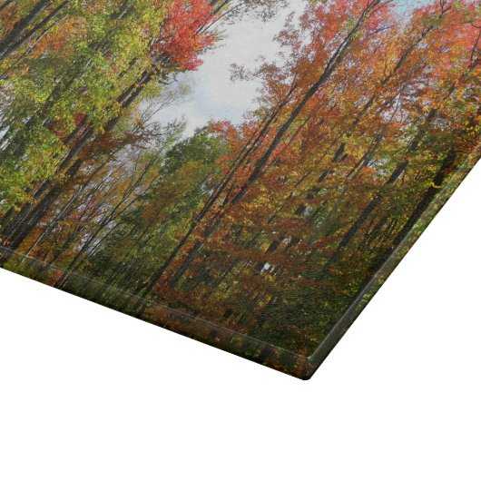 Herfst Trees en Blue Sky Autumn Natuur Fotografie Snijplank (Hoek)