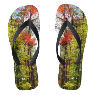 Herfst Trees en Blue Sky Autumn Natuur Fotografie Teenslippers