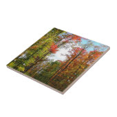 Herfst Trees en Blue Sky Autumn Natuur Fotografie Tegeltje (Zijkant)