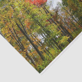 Herfst Trees en Blue Sky Autumn Natuur Fotografie Tissuepapier (Detail)