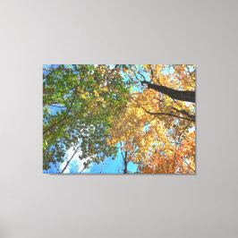 Herfst Treetops LG Canvas Print