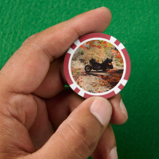 Herfst Trike Divot Tool Flesopener met Marker Poker Chips