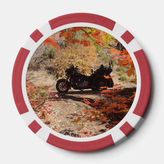 Herfst Trike Divot Tool Flesopener met Marker Poker Chips (Achterkant)