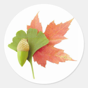 Herfst Trio Ronde Sticker