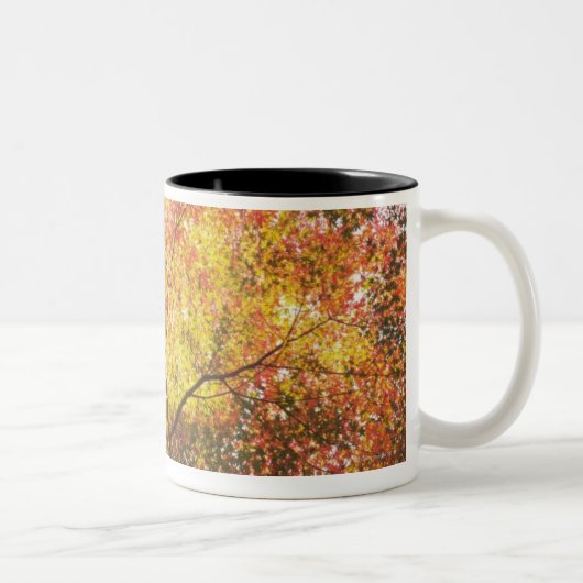 herfst tweekleurige koffiemok (Rechts)