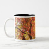 herfst tweekleurige koffiemok (Links)