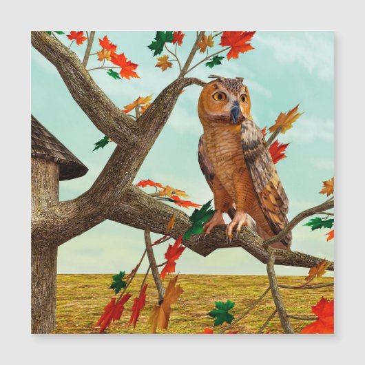 Herfst-uil esdoorn boom natuur kunst (Voorkant)