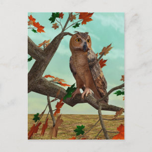 Herfst-uil esdoorn boom wild life kunst briefkaart