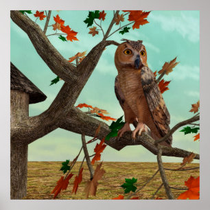Herfst-uil esdoorn boom wild life kunst poster