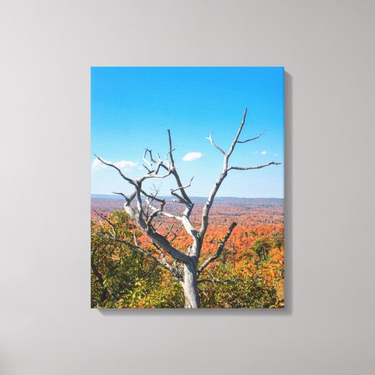 Herfst uitzicht op Mount Bohemia Canvas Afdruk (Voorkant)