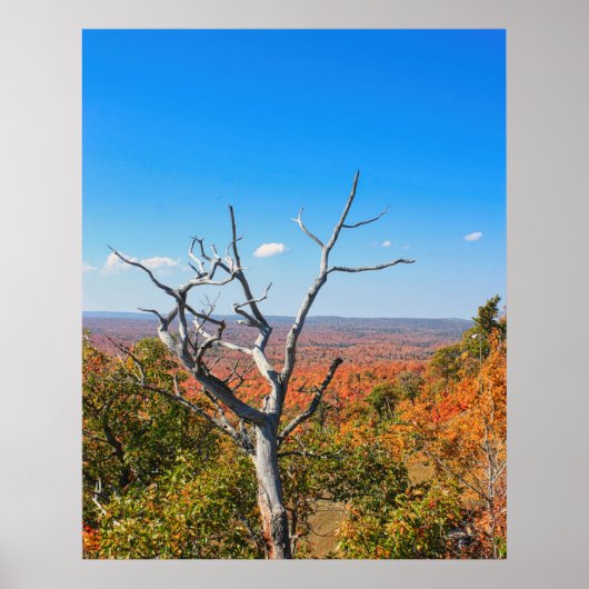 Herfst uitzicht op Mount Bohemia Poster (Voorkant)
