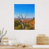 Herfst uitzicht op Mount Bohemia Poster (Keuken)