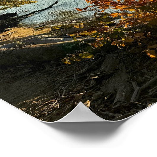 Herfst Uitzicht van Bridge Poster (Hoek)